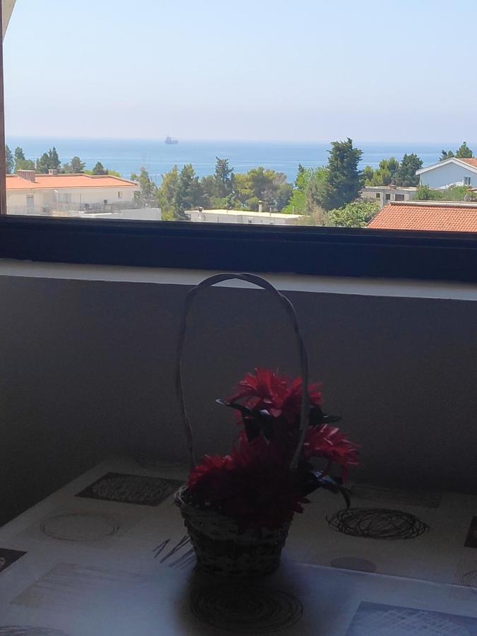 Apartmani Vitic 巴尔 外观 照片